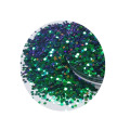 Chamäleon Glitter Flake Nail Art Farbwechsel Farbverschiebung Glitter Pulver